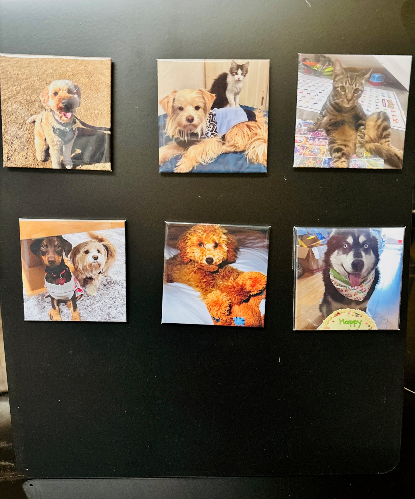 Custom Square Photo Magnet – 2.5” - Set of 6