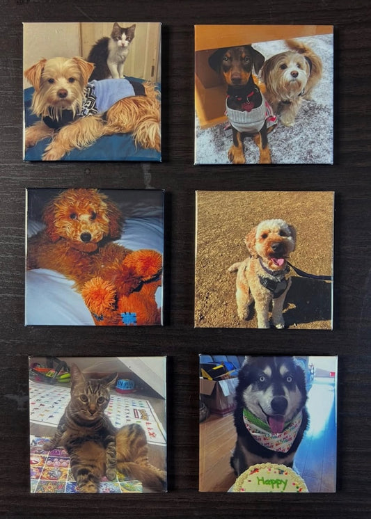 Custom Square Photo Magnet – 2.5” - Set of 6