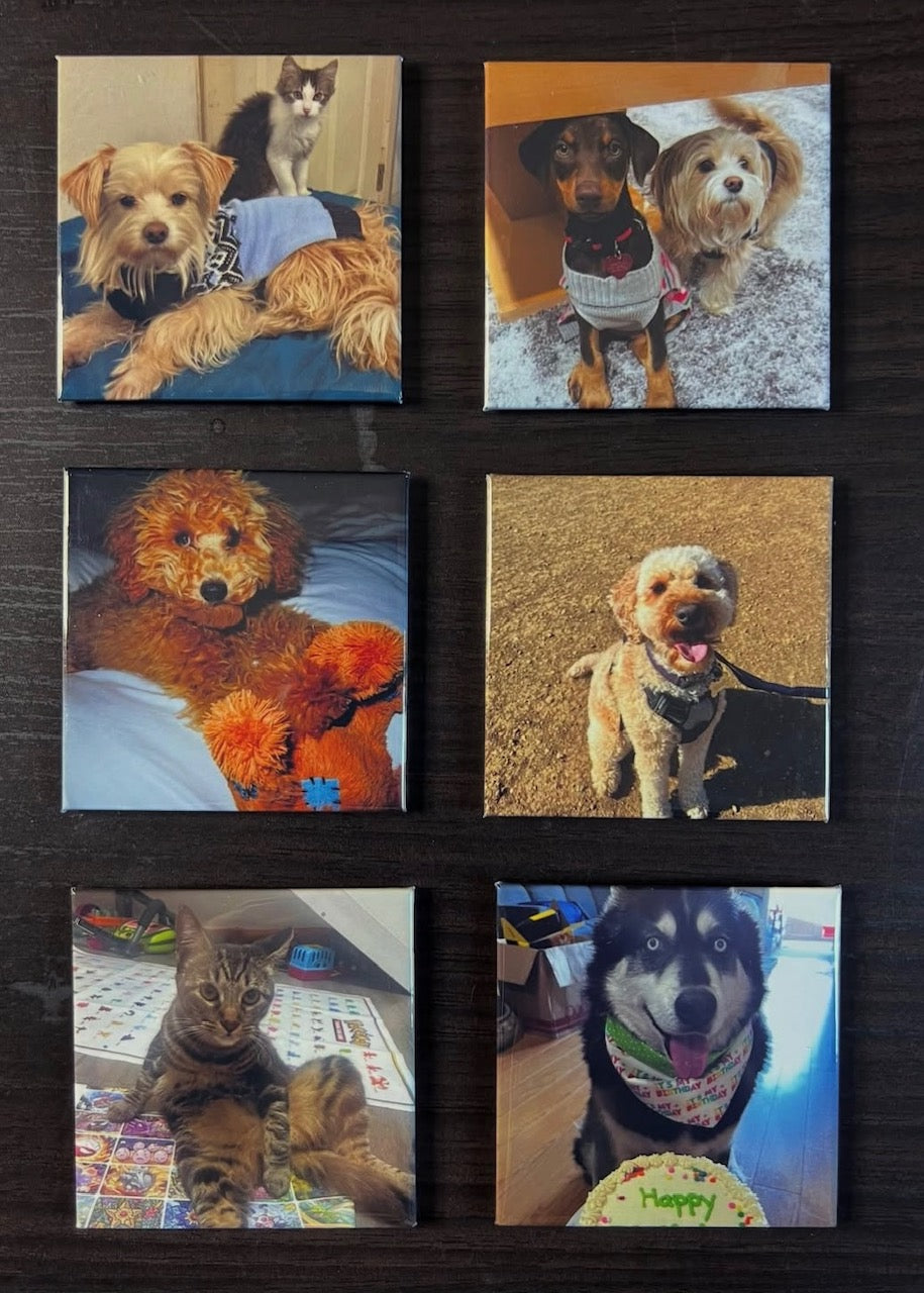 Custom Square Photo Magnet – 2.5” - Set of 6