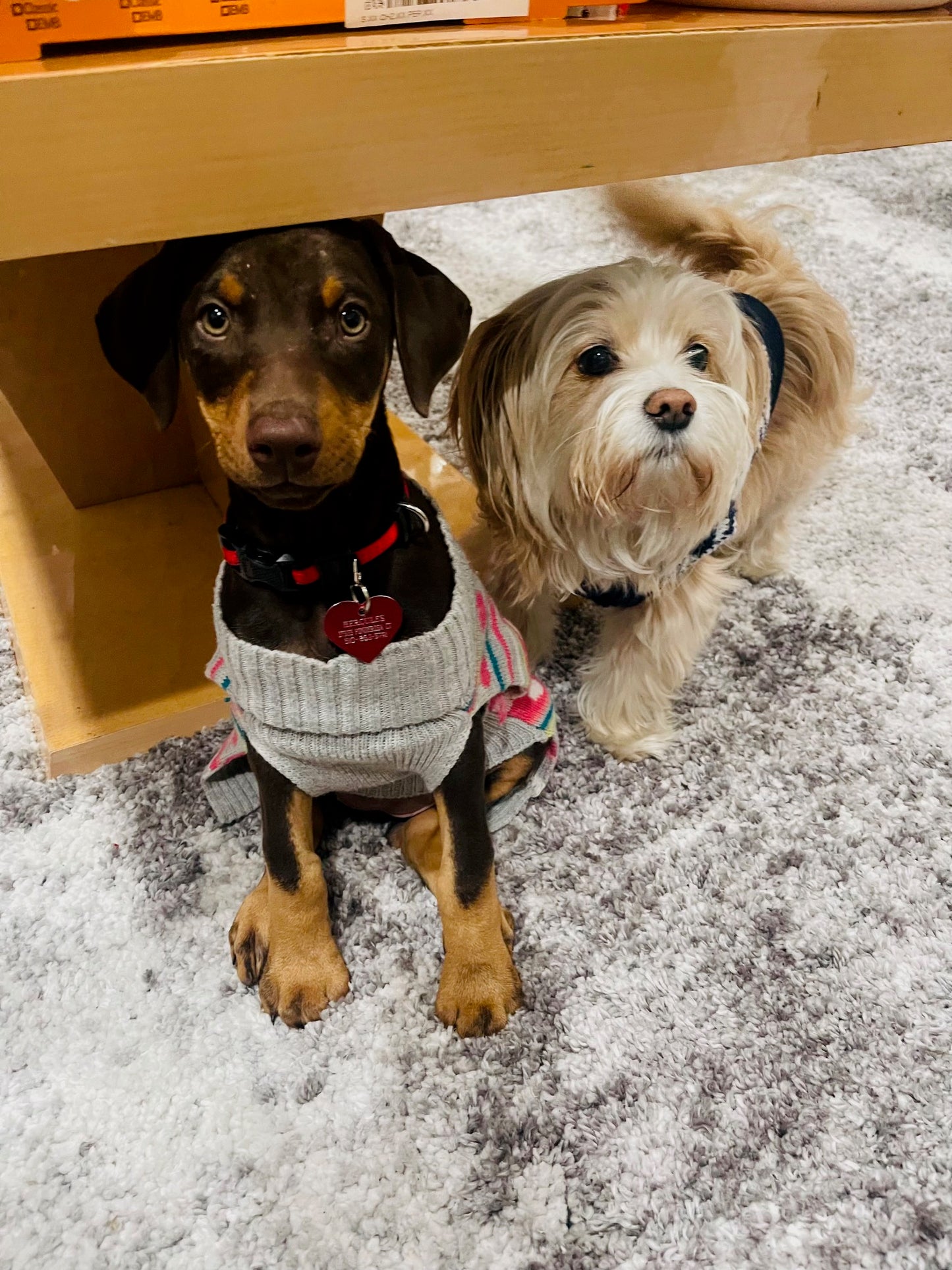 Custom Square Photo Magnet – 2.5” - Set of 6